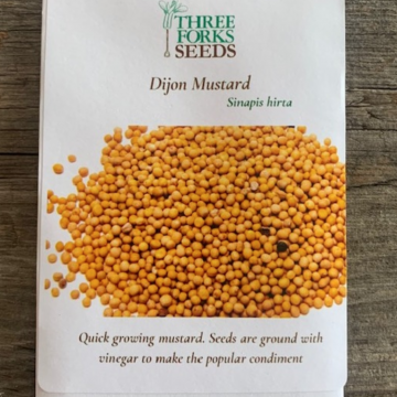 Organic Seed - Dijon Mustard