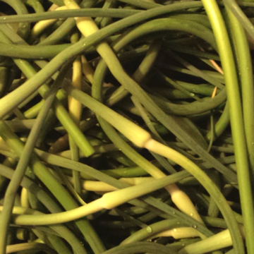 Frozen Garlic Scapes