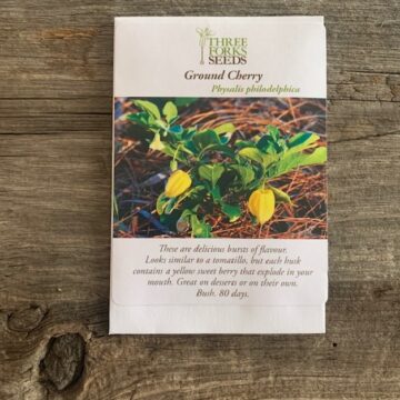 Organic Seed - Ground Cherry, Cossack Pineapple