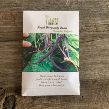 Organic Seed - Royal Burgundy Bean