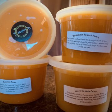 Pumpkin or Squash Puree (Frozen)