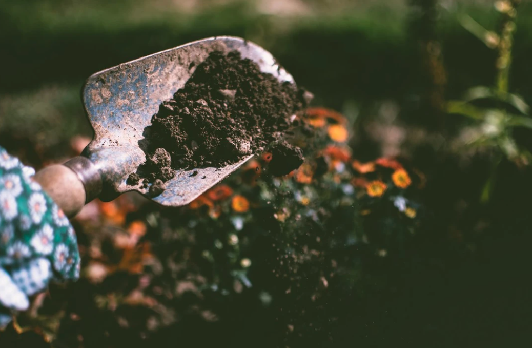Soil Amendment Seed Wildflower Collection