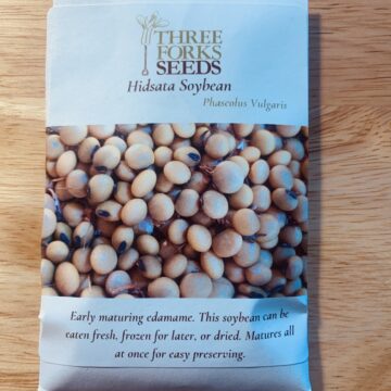Organic Seed - Hidatsa Soybean