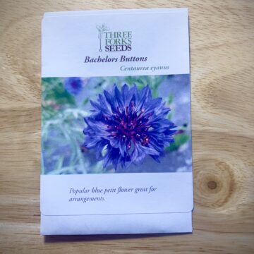 Organic Seed - Blue Boy Bachelor Button