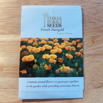 Organic Seed - French Marigold