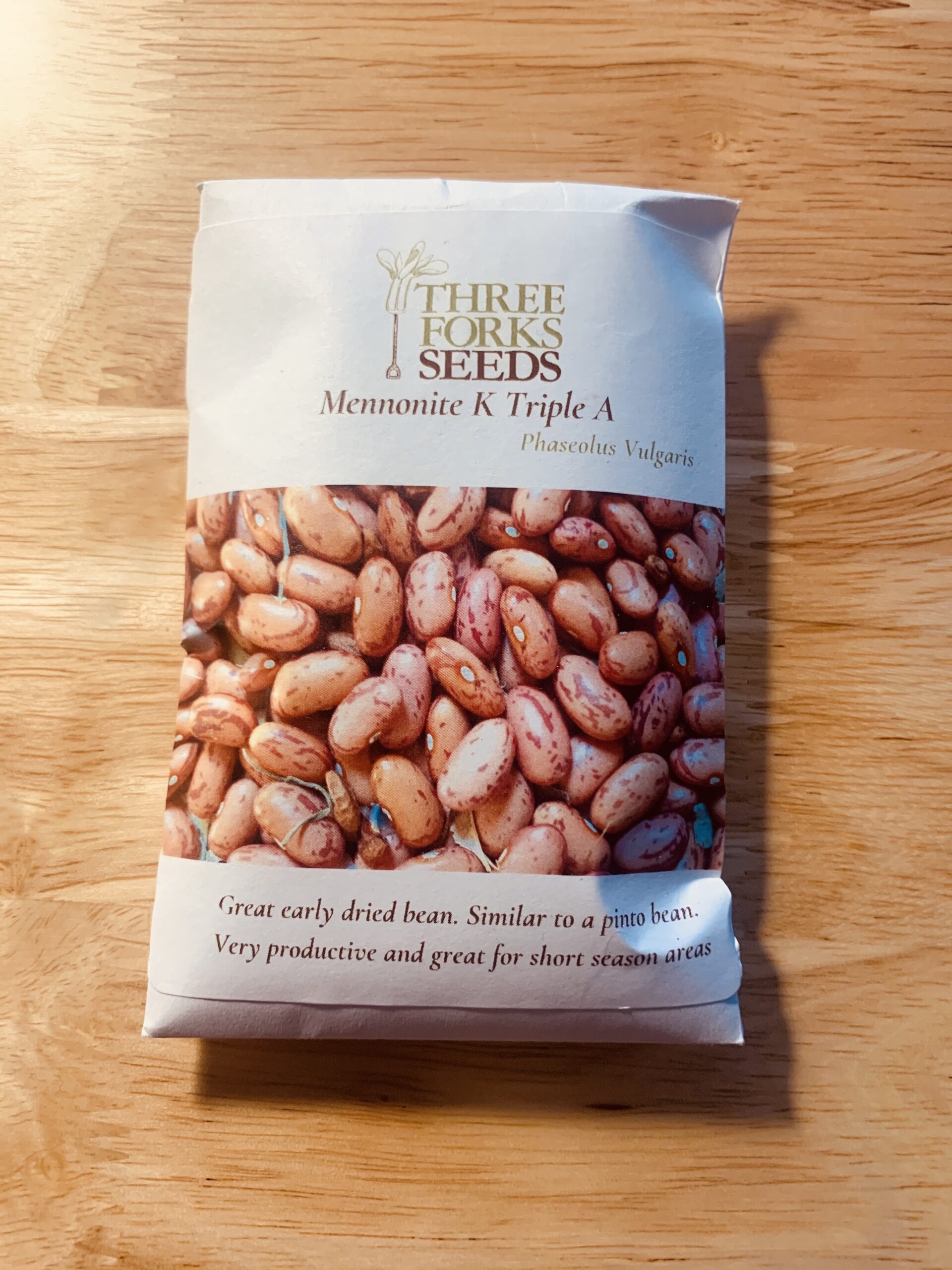 Organic Seed - Mennonite K Triple A Bean