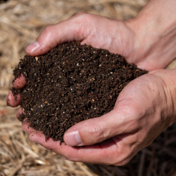 Ormuir Organics 'Black Gold' Compost - Worm Castings (Unsifted)