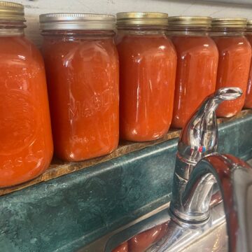 Pure Tomato Sauce/Juice