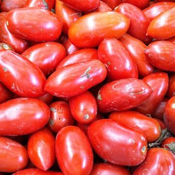 Organic Seed - San Marzano Paste Tomato