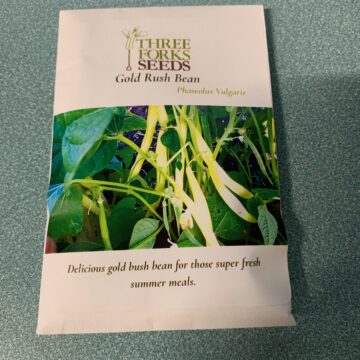 Organic Seed - Gold Rush Bean