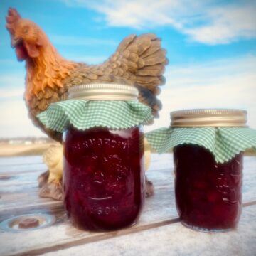 Cranberry Sauce - Honey Sweetened