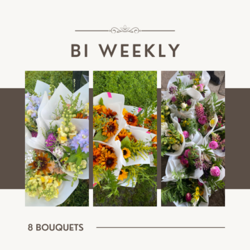 Bouquet Subscription Bi-weekly