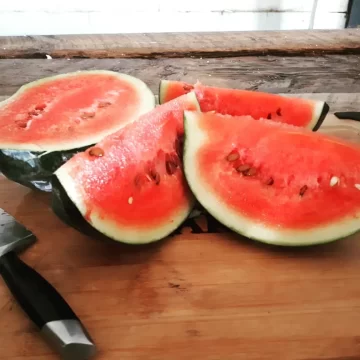 Organic Seed - Blacktail Mountain Watermelon