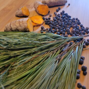 White Pine Needle Loose Leaf Teas