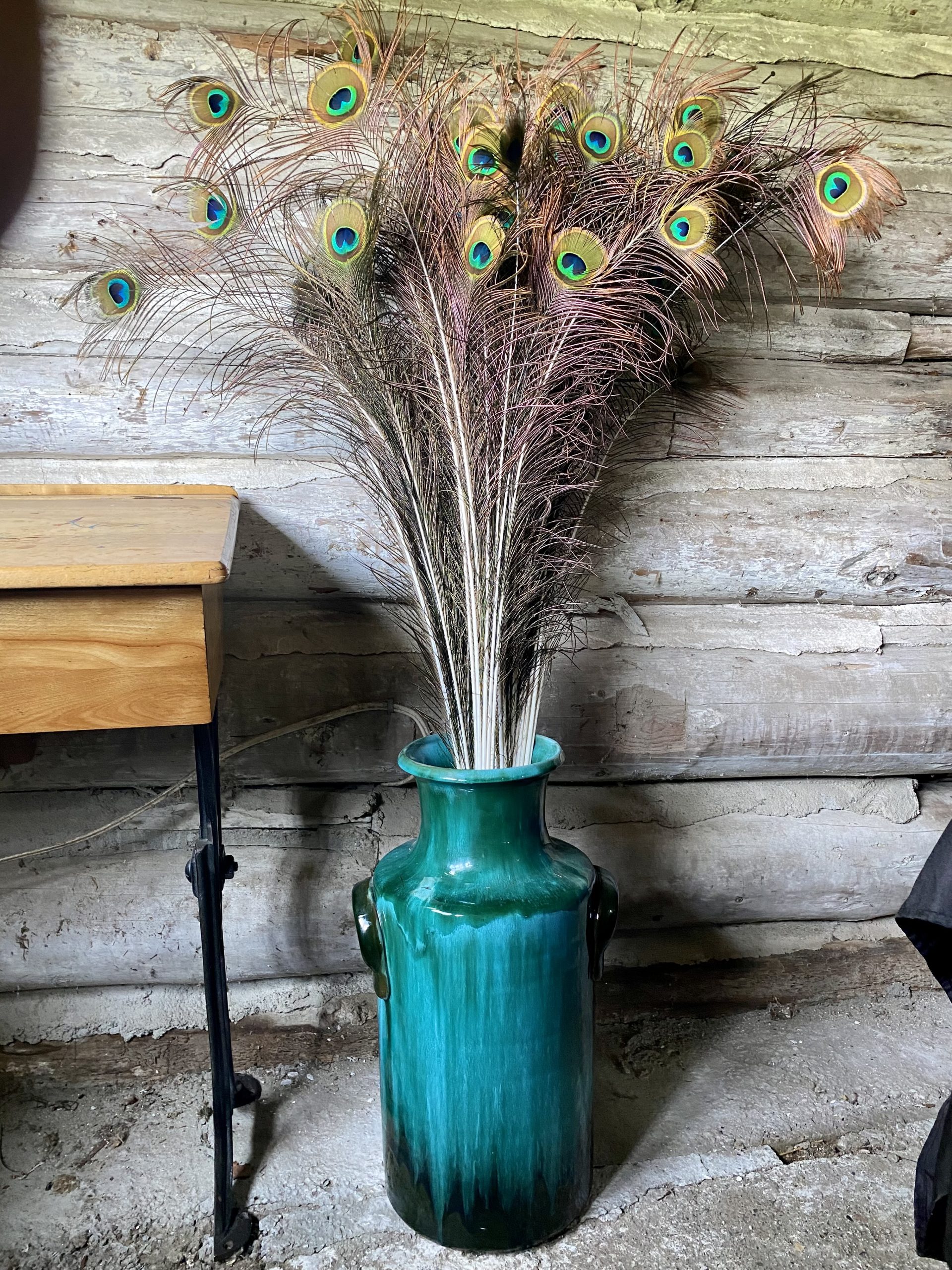 Peacock Feathers - Image 3