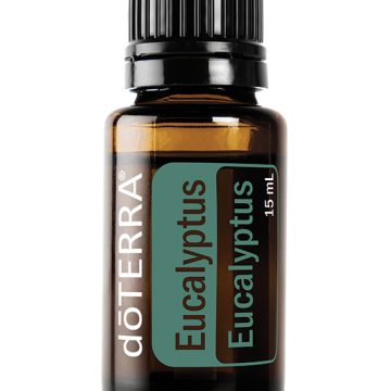 Eucalyptus Oil --Eucalyptus spp.