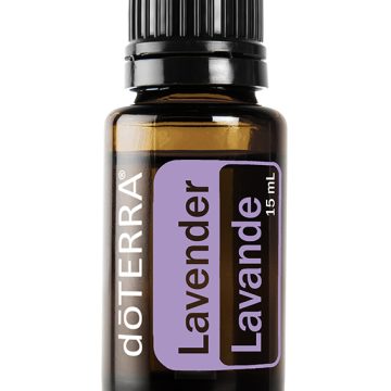 Lavender Oil--Lavandula angustifolia