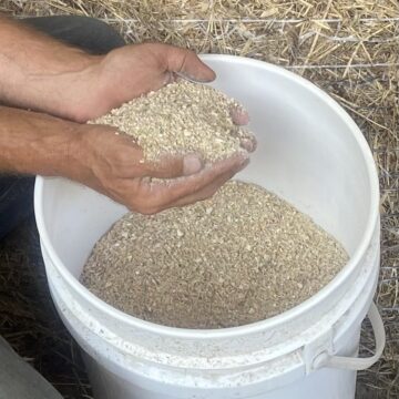 Hog Grower Feed Ration