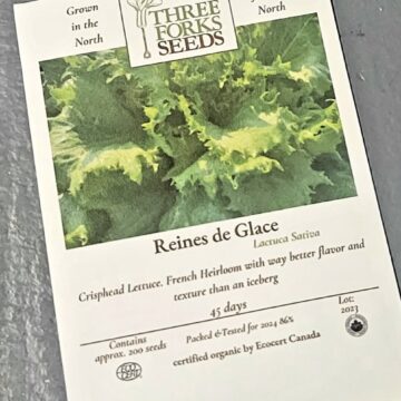 Organic Seed - Lettuce, Reines De Glace