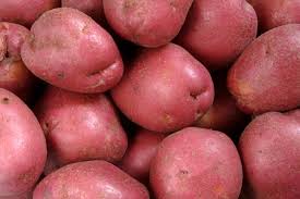 B&L Brewer Farm | Red Potatoes