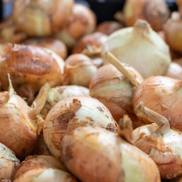 Spanish Onions (Granite Ridge Produce)